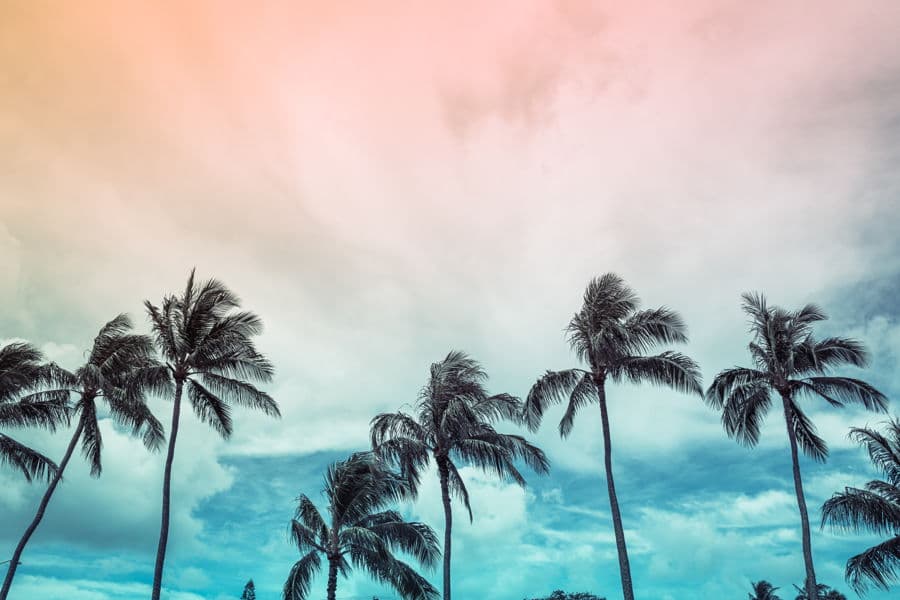 Properties For Sale in Paradise Palms