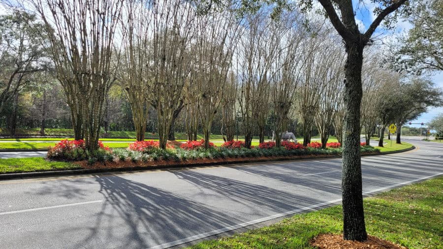 Properties For Sale in Avalon Park